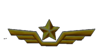 pickup icon